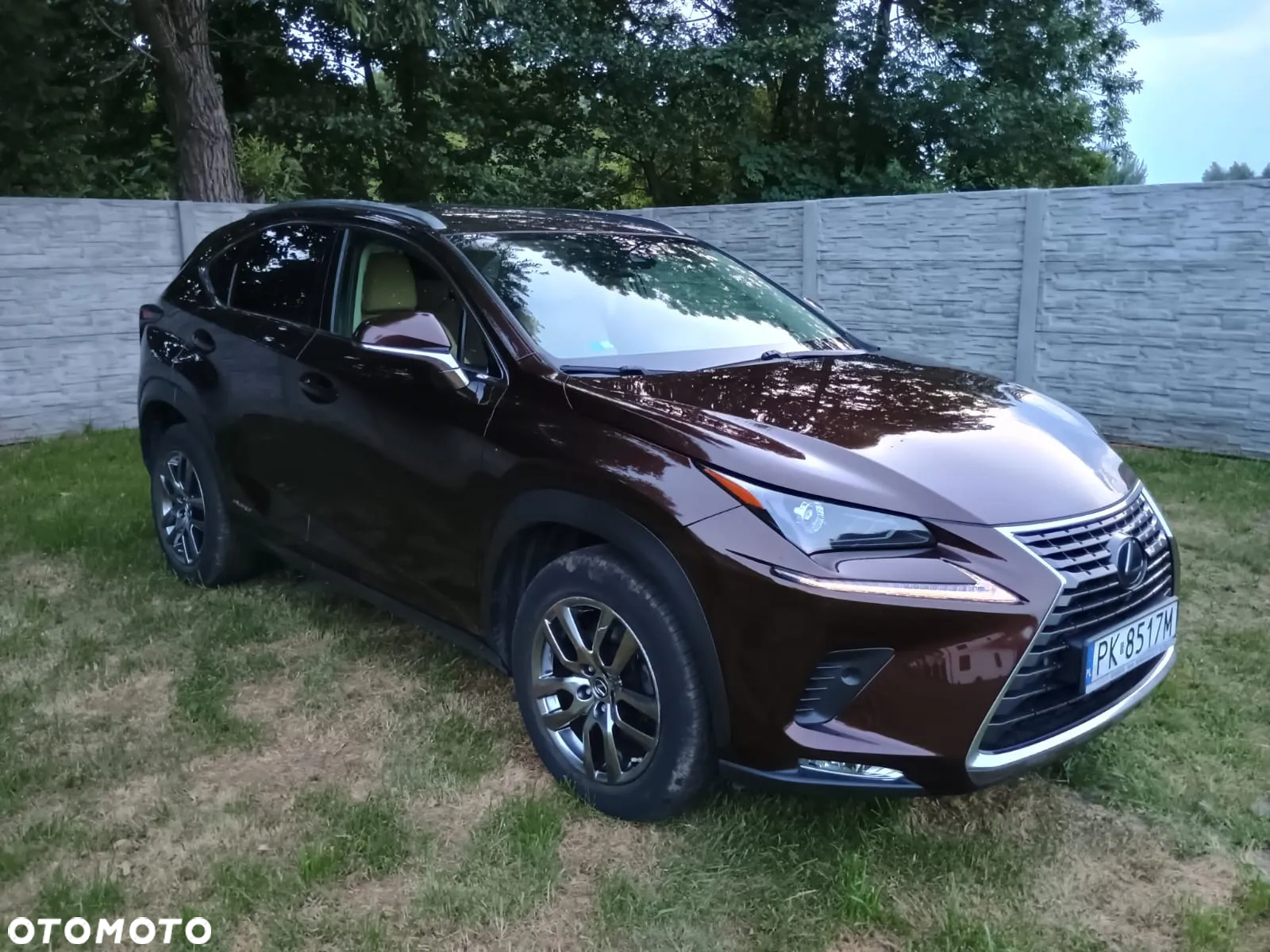 Lexus NX 300h Elegance AWD - 9
