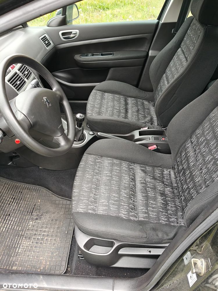 Peugeot 307 1.6 XS - 13