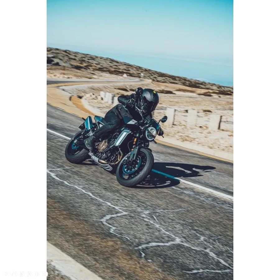 Husqvarna Svartpilen - 9