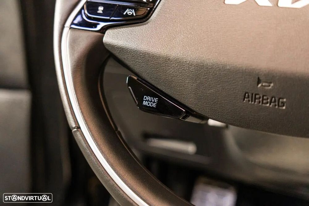 Kia Niro EV 64kWh Tech X - 24