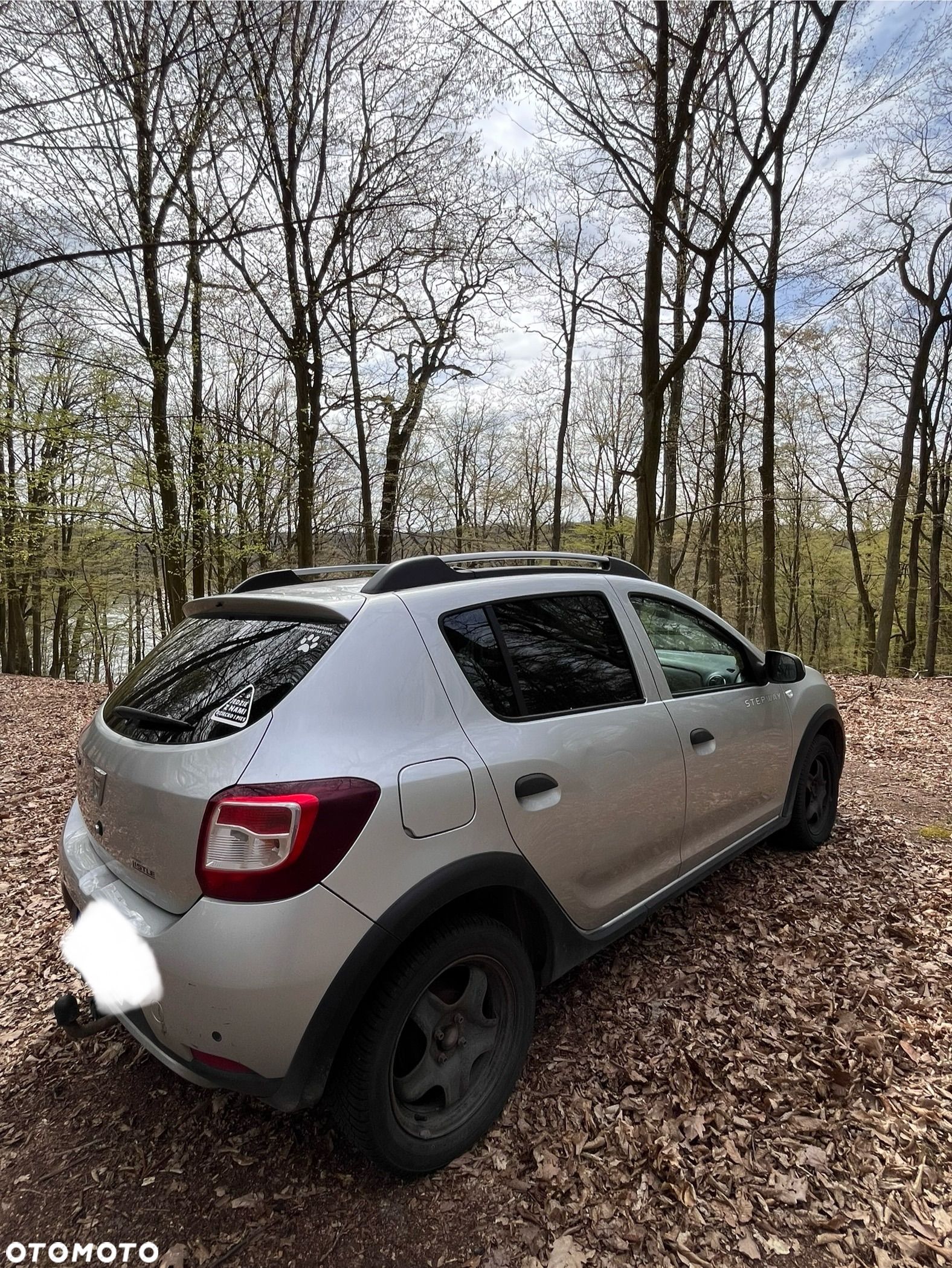 Dacia Sandero - 1