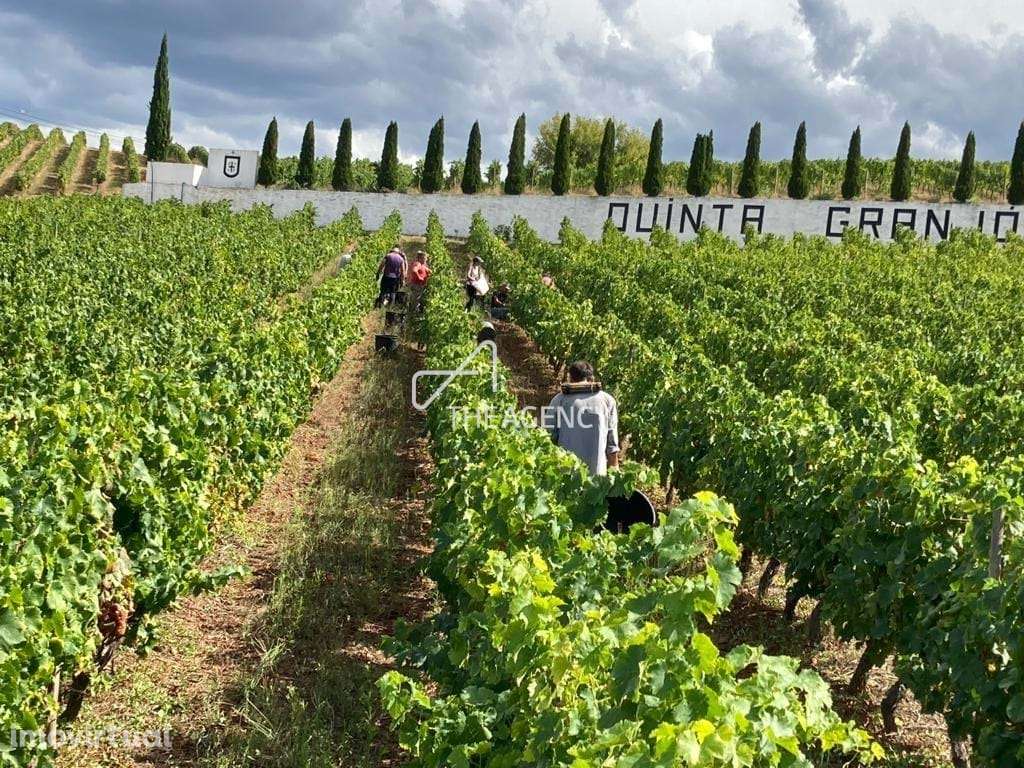 Quinta Granjó — Uma oportunidade única de investimento no coração do V - Grande imagem: 4/28