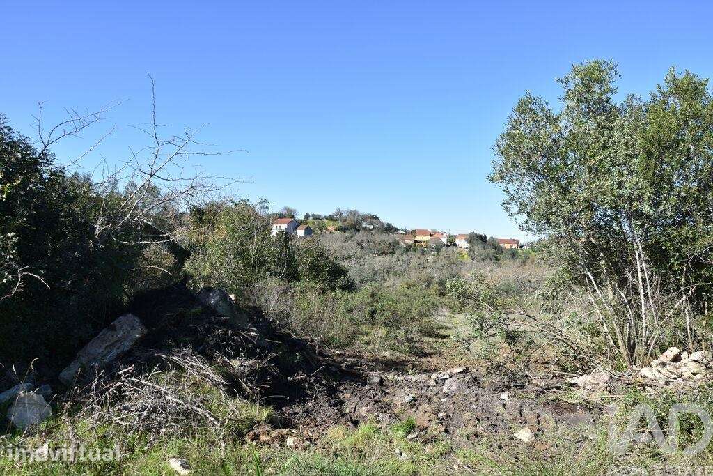 Terreno em Chãos de 2160,00 m2 - Grande imagem: 5/22