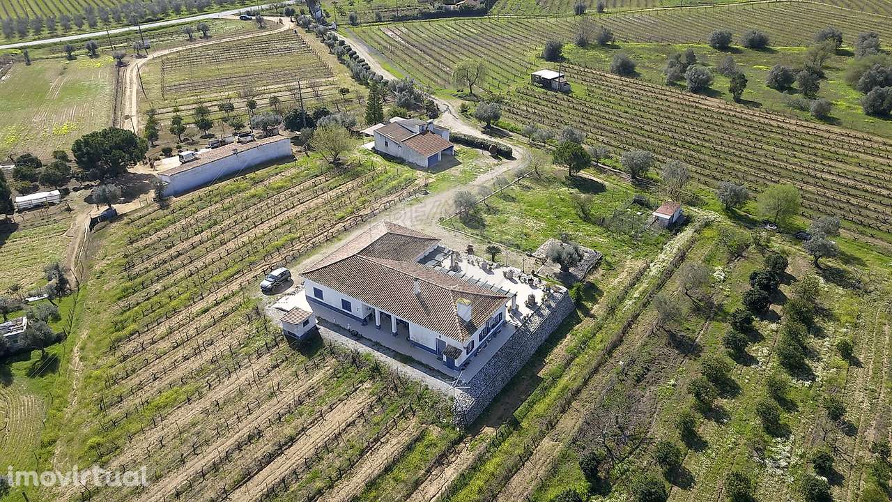 Quinta T4 para venda - Grande imagem: 2/50