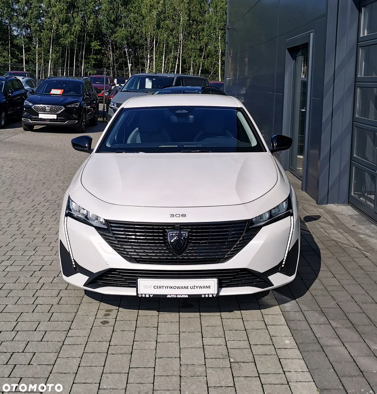 Peugeot 308 1.2 PureTech Allure Pack S&S EAT8 - 19