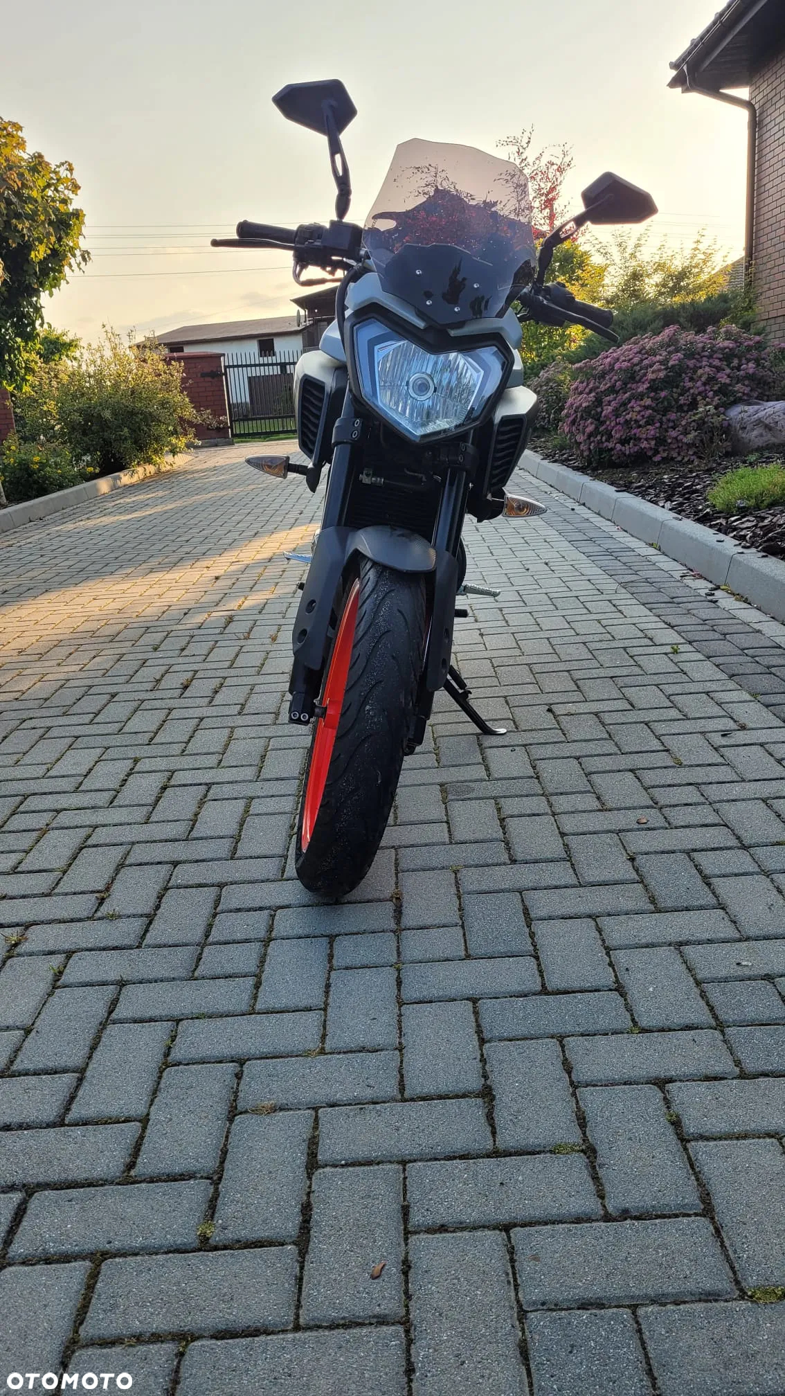 Yamaha MT - 4