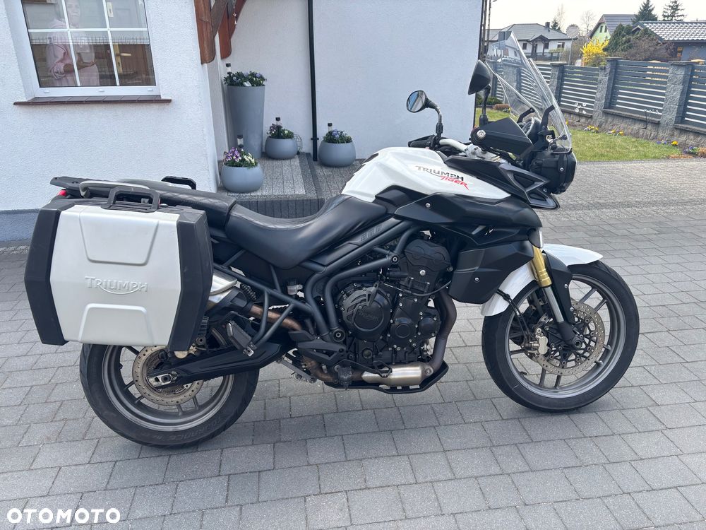 Triumph Tiger - 11