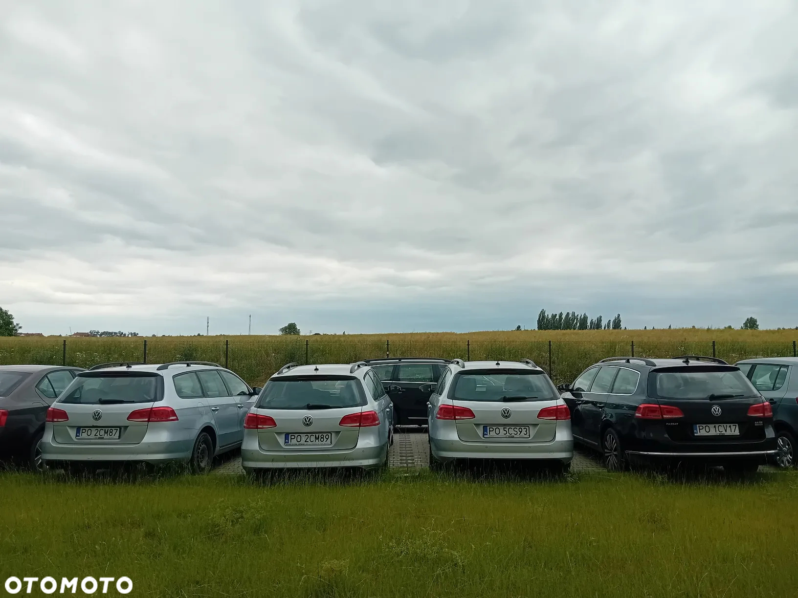 Volkswagen Passat - 20