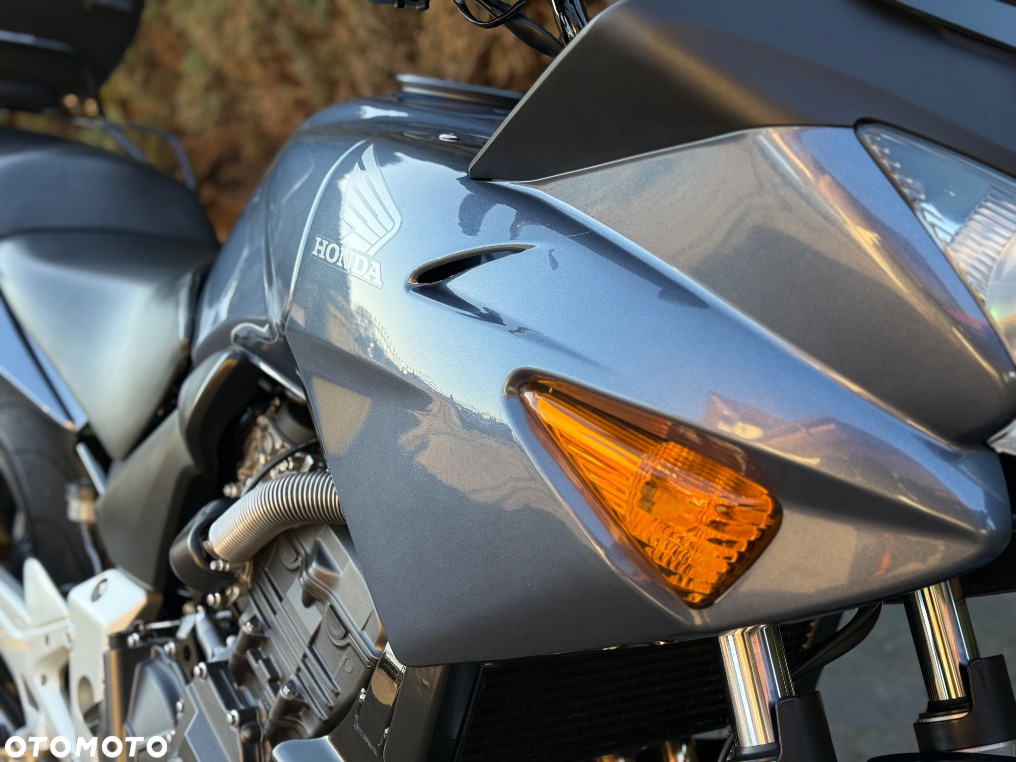 Honda CBF - 17