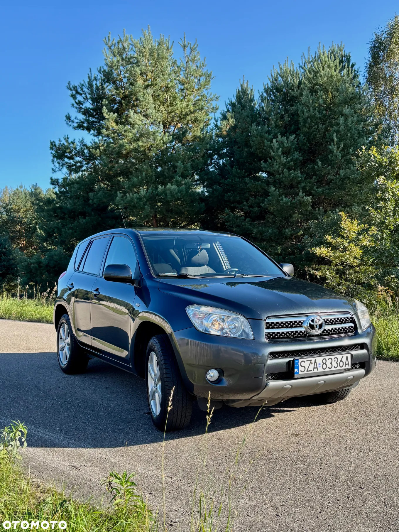 Toyota RAV4 2.0 VVT-i Premium - 3