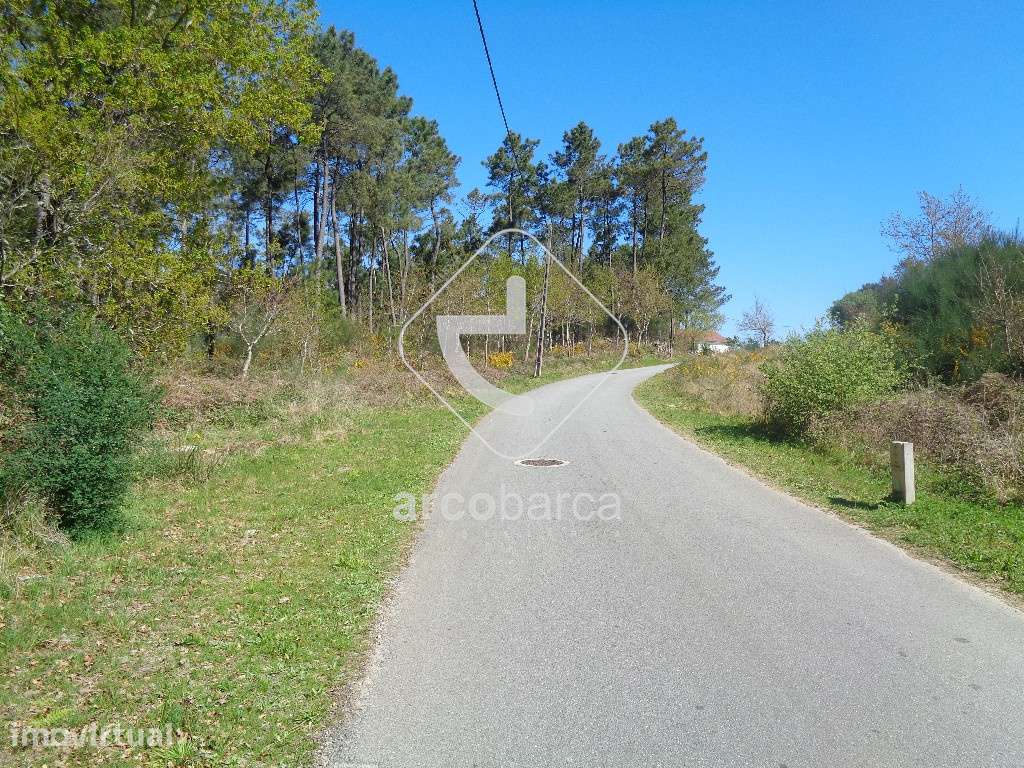 Terreno com cerca de 4600m2 - Grande imagem: 4/6