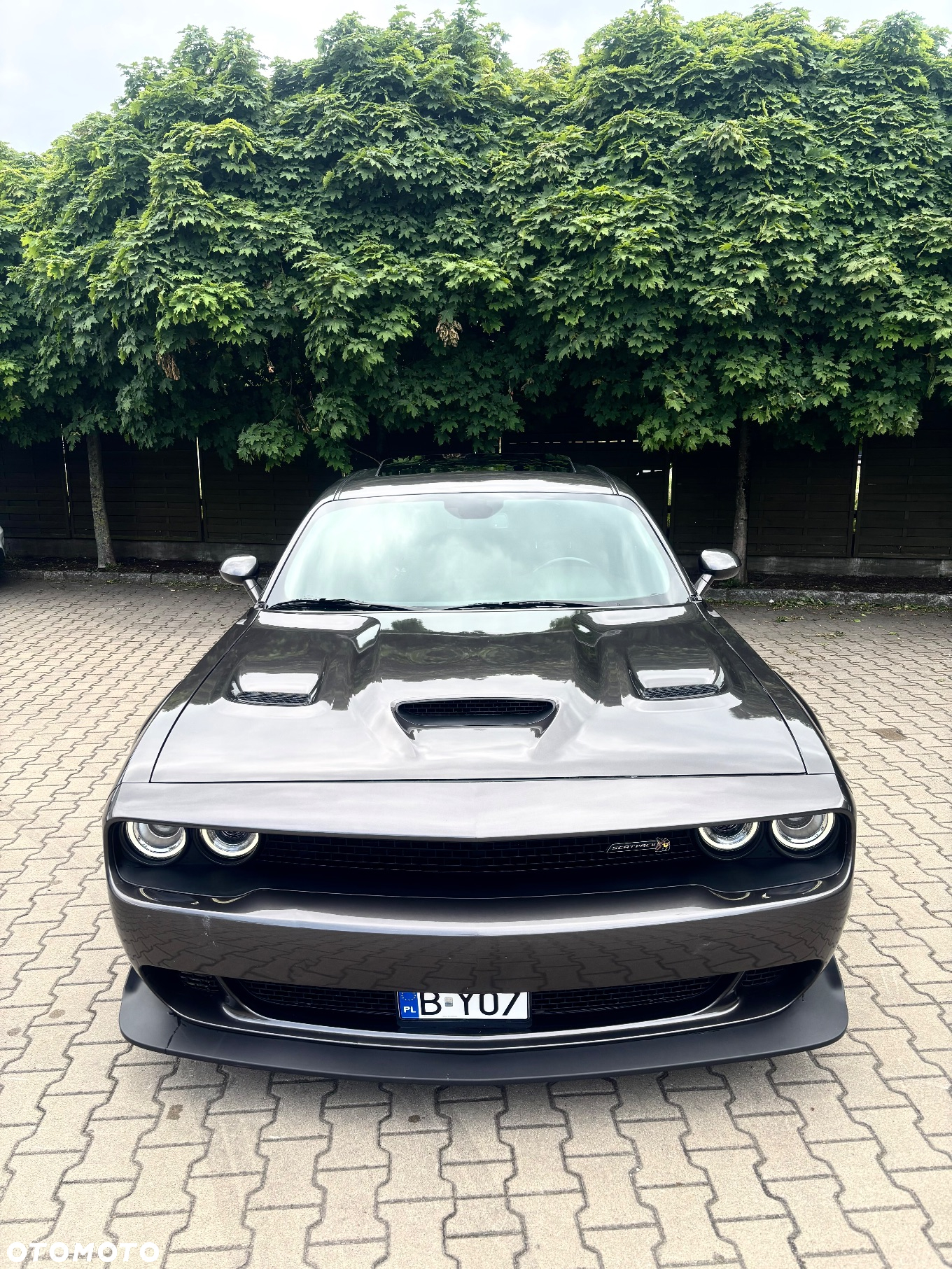 Dodge Challenger 6.4 Scat PackWidebody - 21