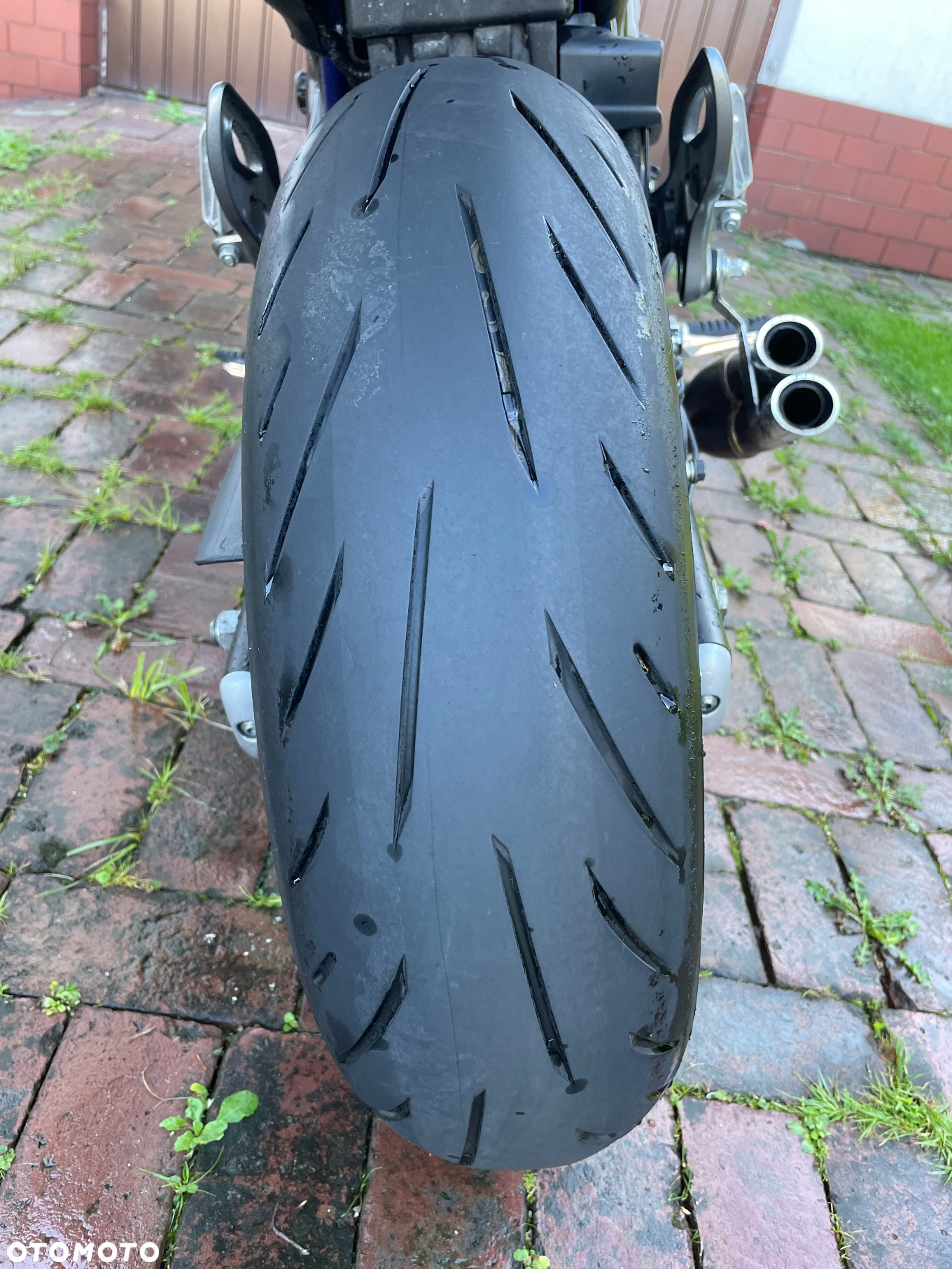Suzuki Gladius - 6