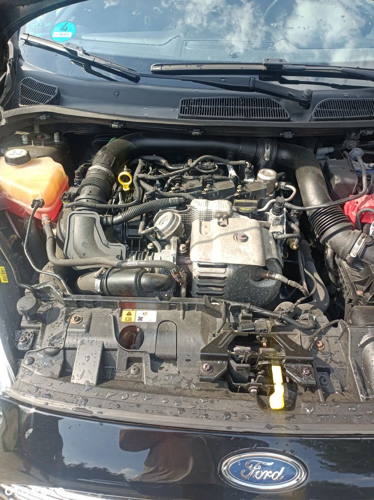 Ford Fiesta 1.0 EcoBoost Champions Edition - 14
