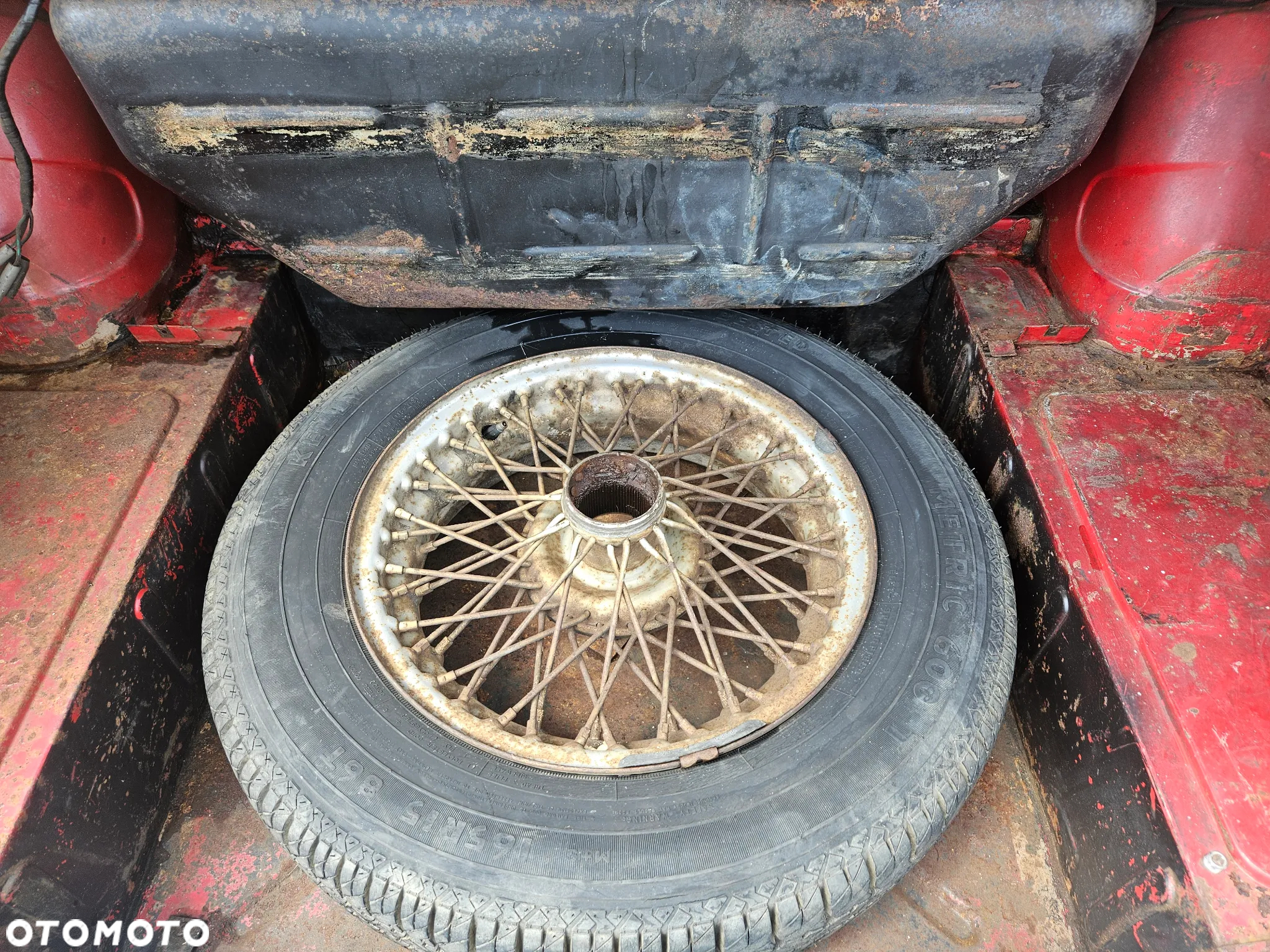 Triumph TR4 - 13