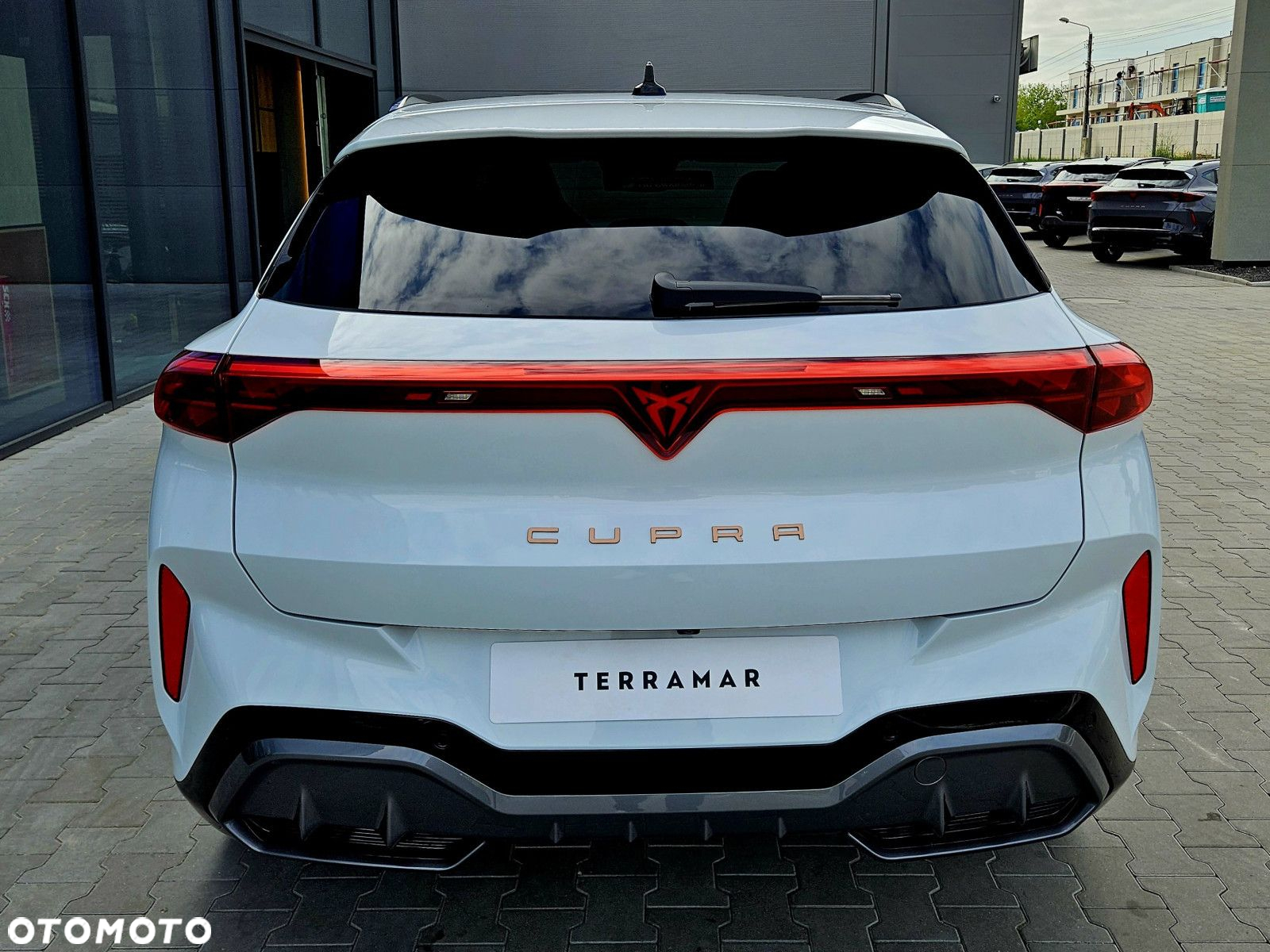 Cupra Terramar - 4