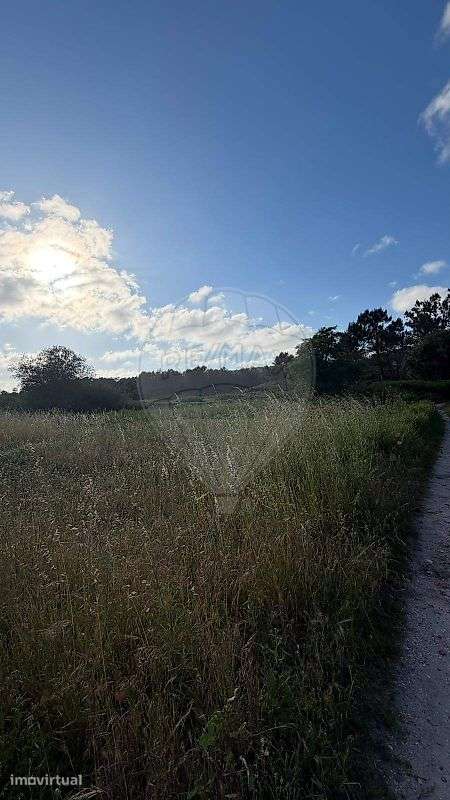 Terreno  para venda - Grande imagem: 3/5