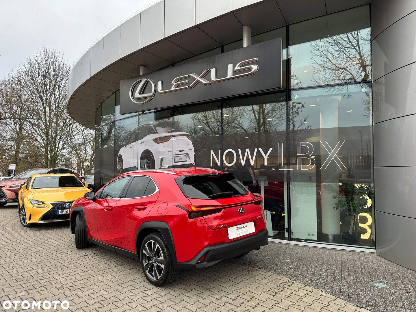 Lexus UX 200 Optimum 2WD - 6