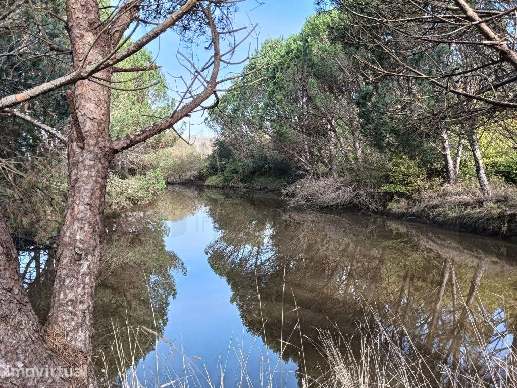 Terreno / Quinta com 6 hectares junto ao rio Boco - Vagos - Grande imagem: 2/22