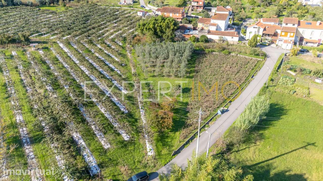 Terreno junto a Ribeiro em Quinta do Colaço (Almalaguês/Coimbra) - Grande imagem: 2/12