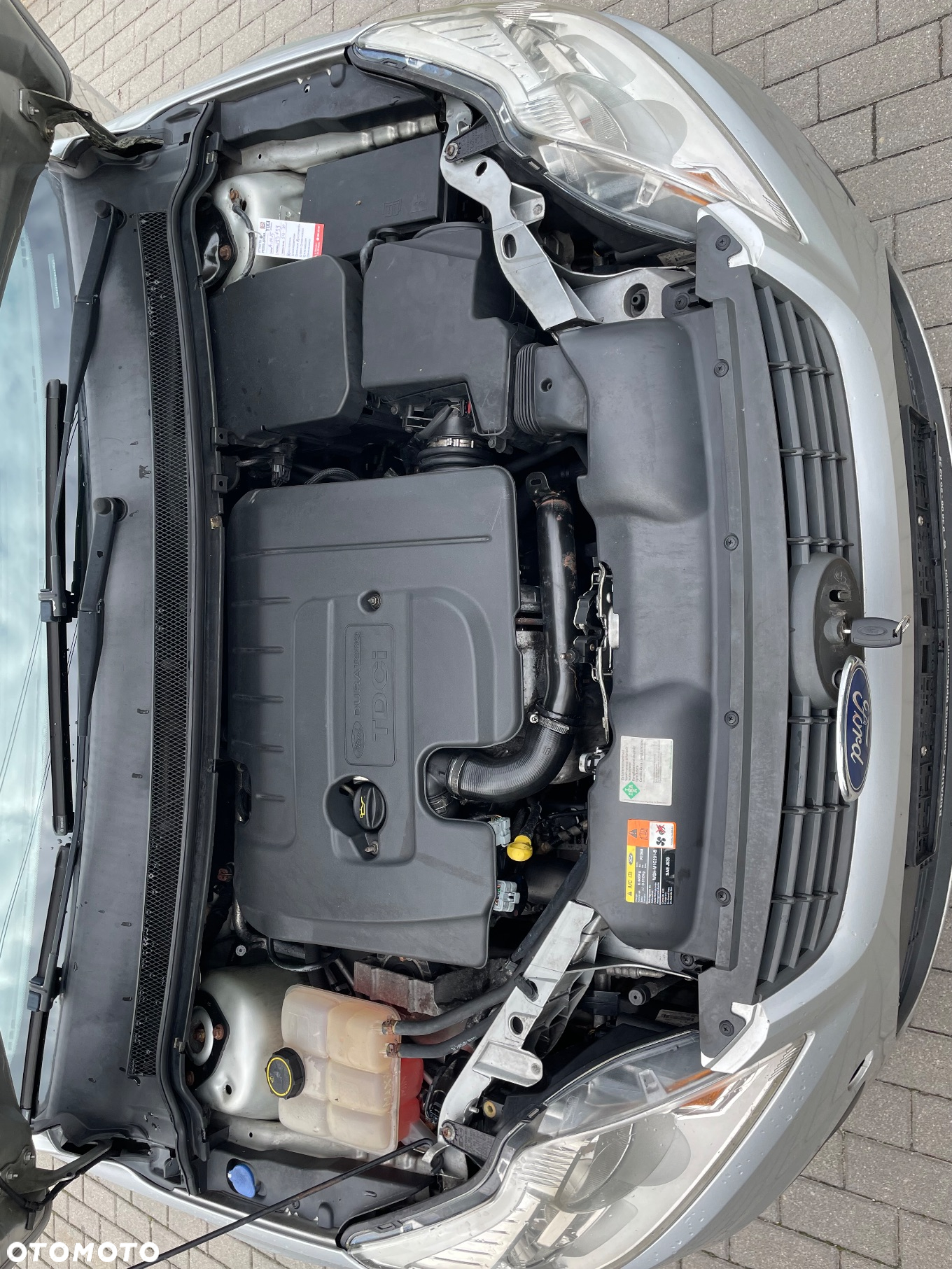 Ford Focus 1.6 TDCi cDPF Silver X - 20