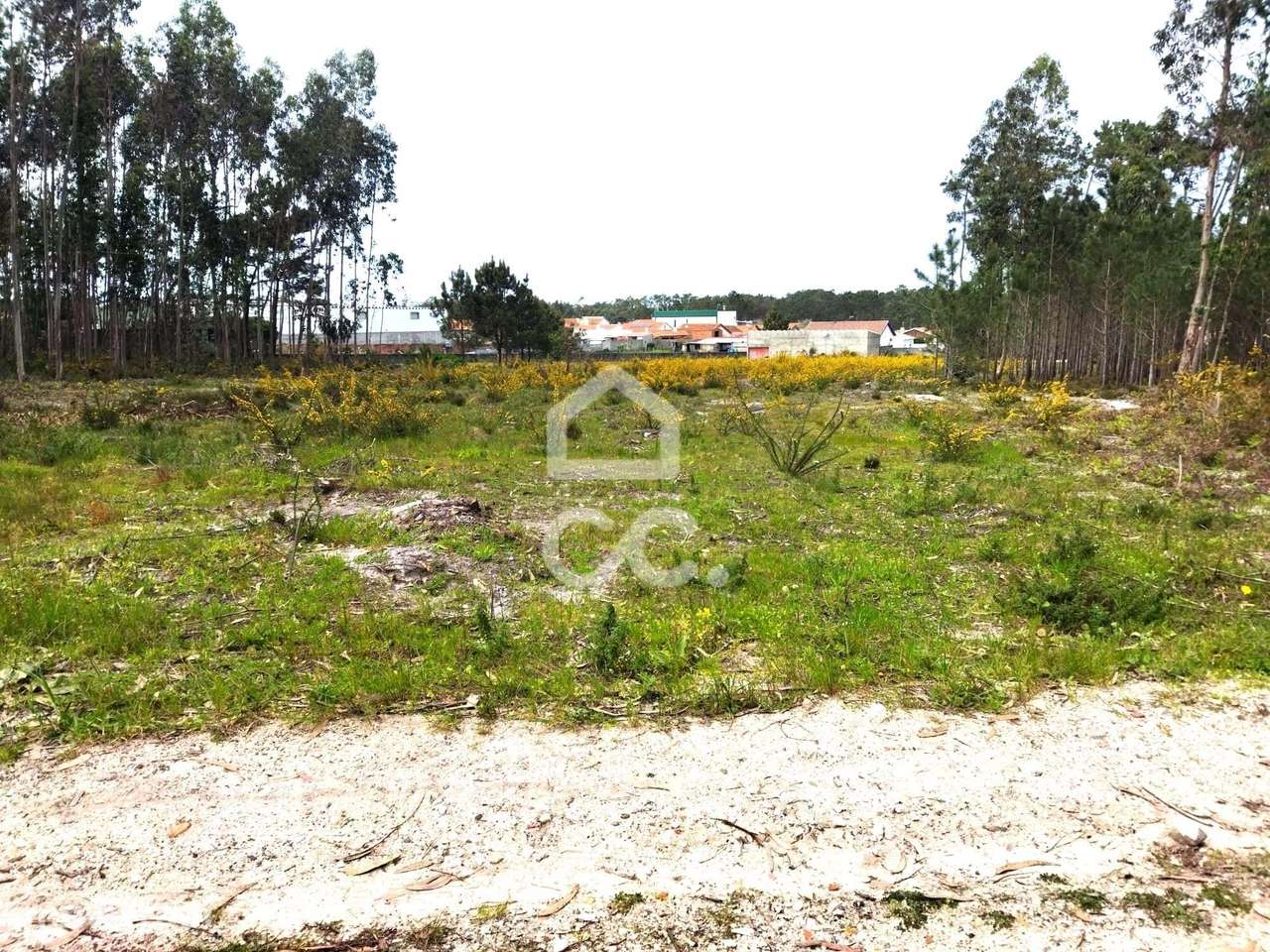 VIEIRA DE LEIRIA-------Venda global de dois terrenos com a área total - Grande imagem: 5/7
