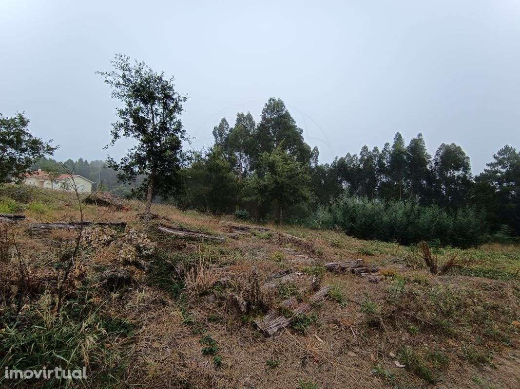 Terreno  para venda - Grande imagem: 5/11