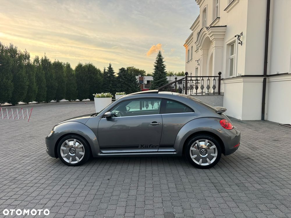 Volkswagen Beetle - 20