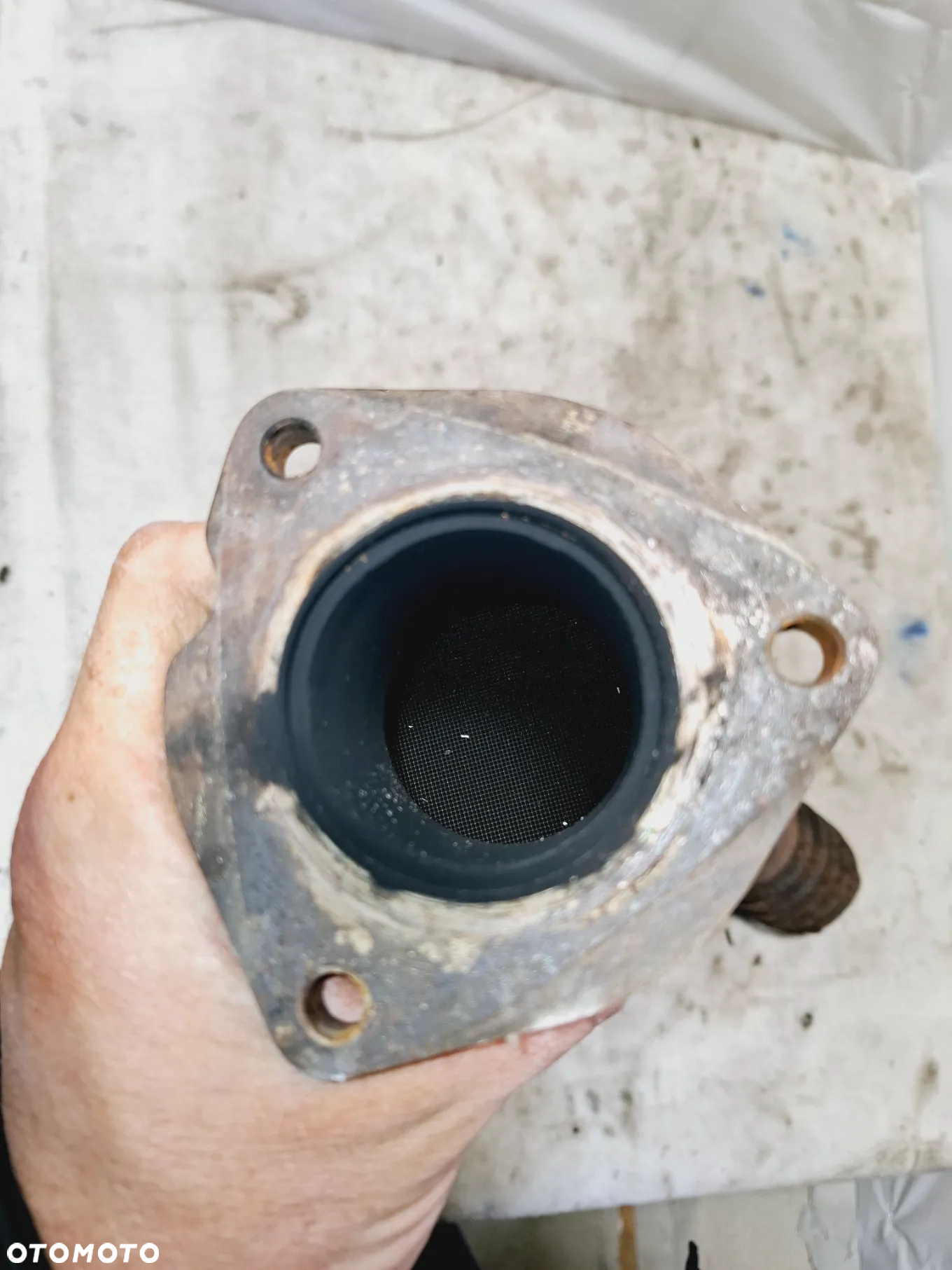 Katalizatora Filtr Spalin Lewy/Prawy 2.4 2.8 3.2 Audi 4F0131701AN 4F0178EA 4F0131701AP 4F0178EA - 5