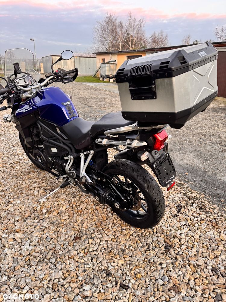 Triumph Tiger - 20