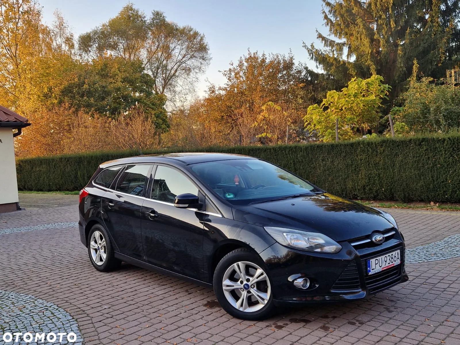 Ford Focus - 2