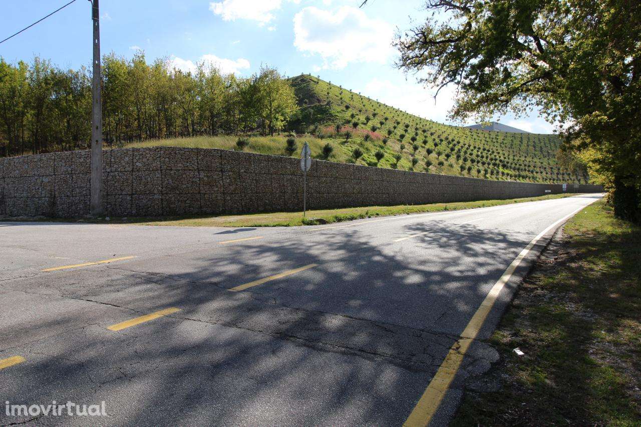 Fantástica Quinta Junto a Ribeira - Grande imagem: 5/13