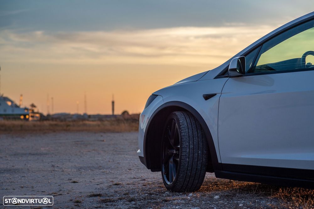 Tesla Model X P100D - 26