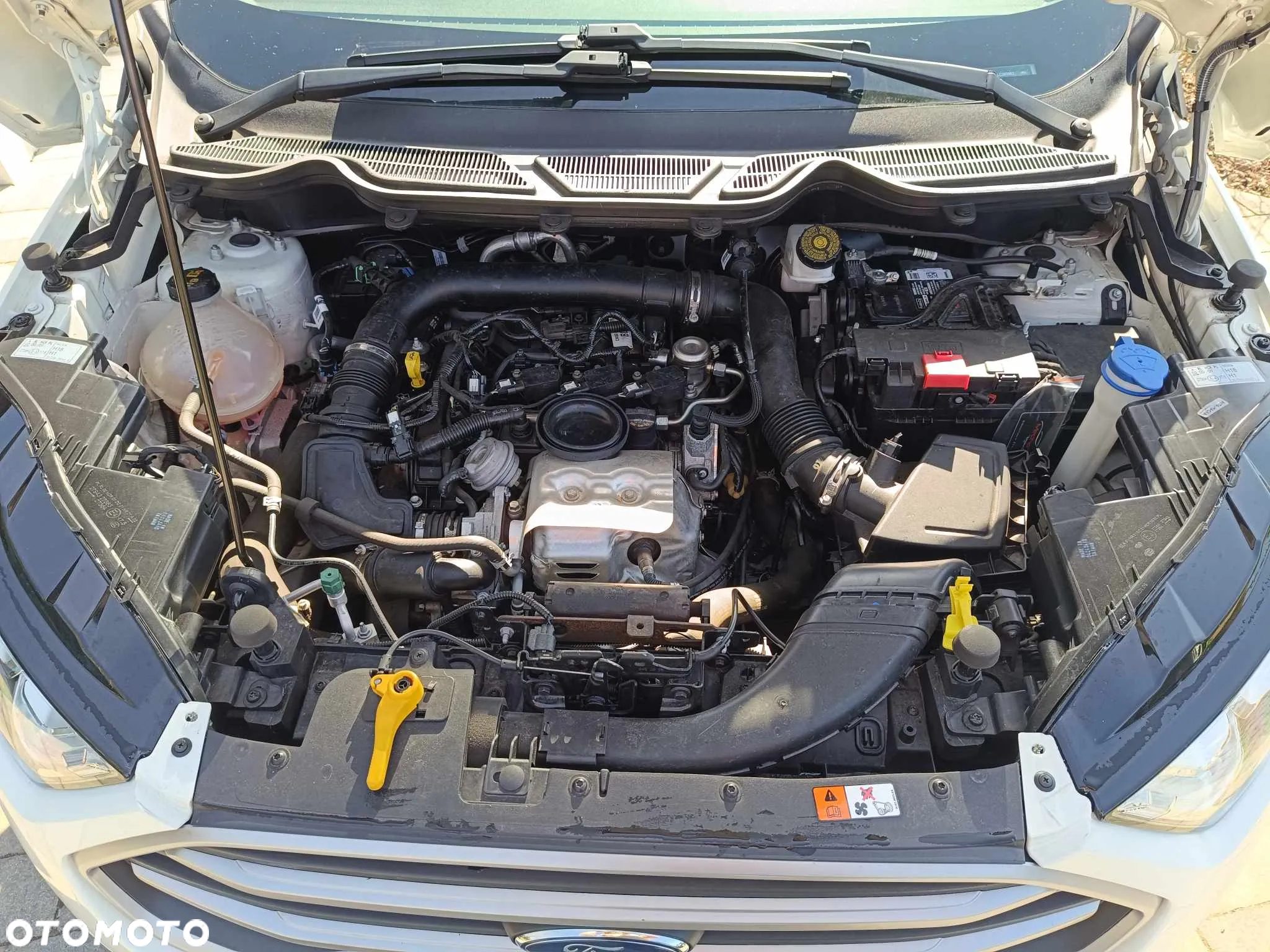 Ford EcoSport - 12