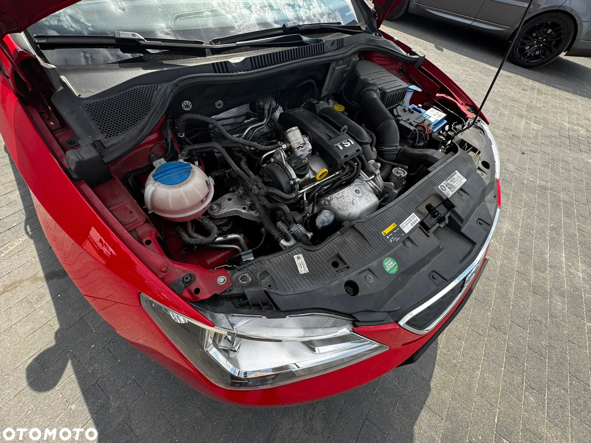 Seat Ibiza 1.2 TSI Ecomotive Style - 17