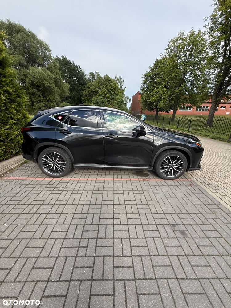 Lexus NX 350h Omotenashi AWD - 8