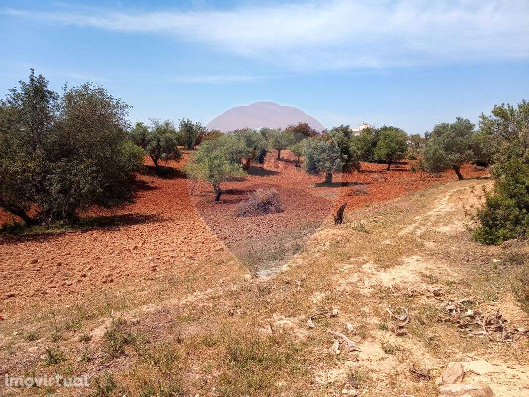 Terreno  para venda - Grande imagem: 2/16