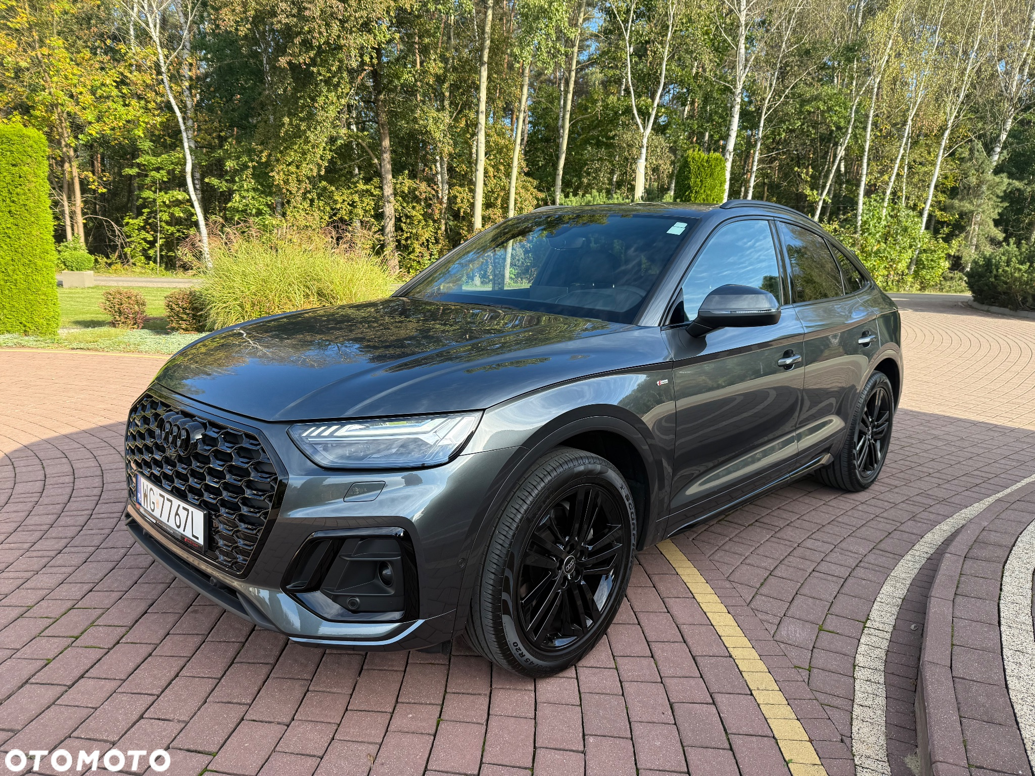 Audi Q5 Sportback 45 TFSI quattro S tronic S line business - 30