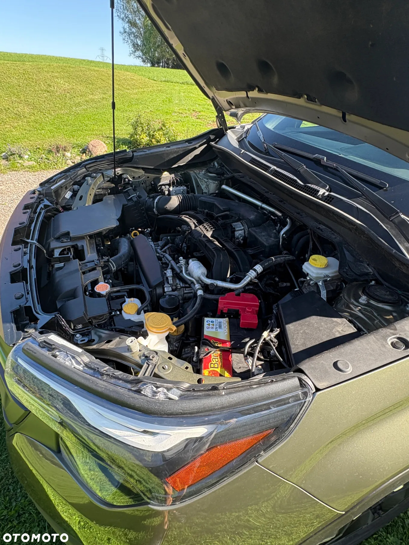 Subaru Forester - 8