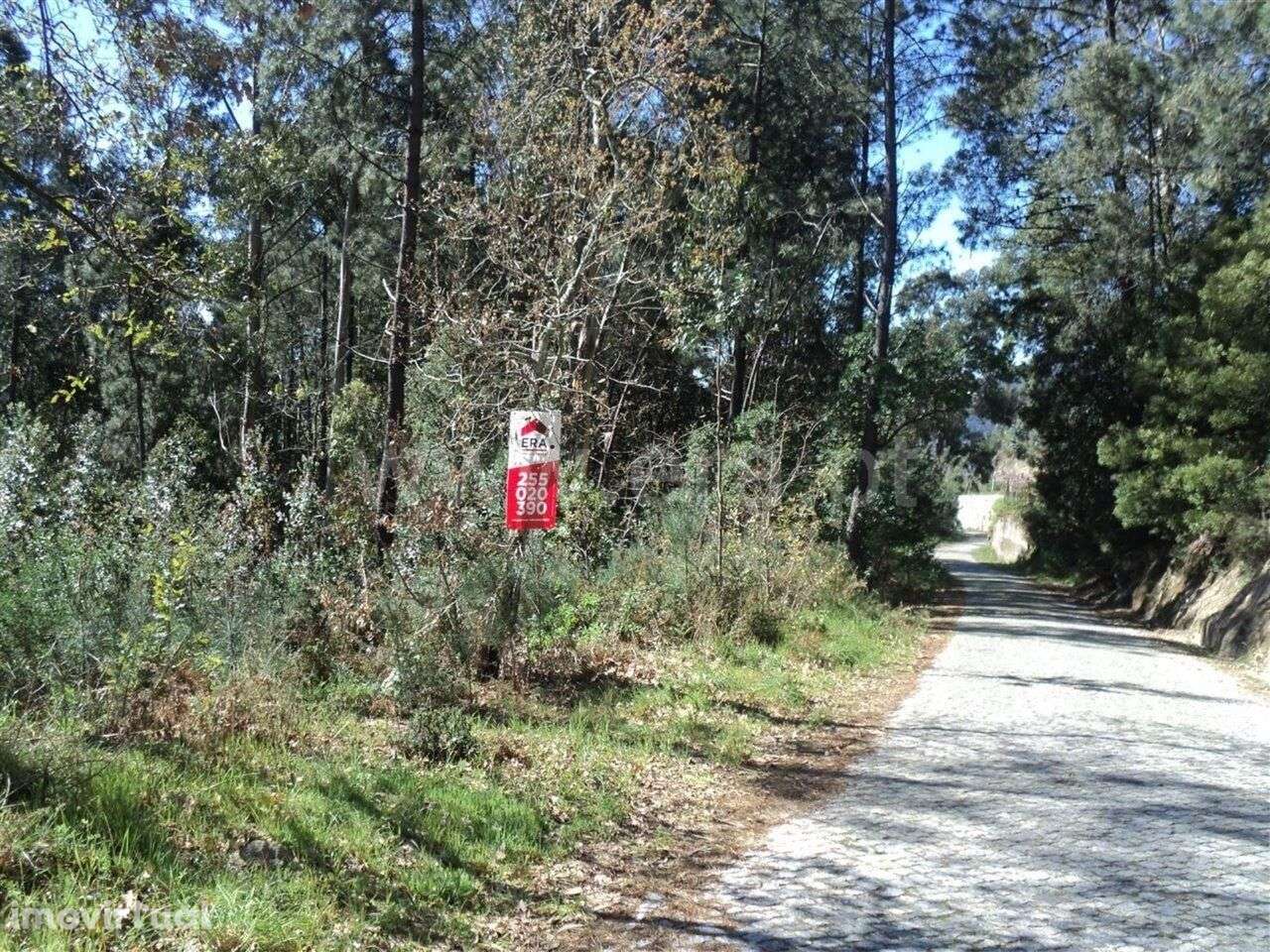 Terreno / Marco de Canaveses, Sande e São Lourenço - Grande imagem: 2/4