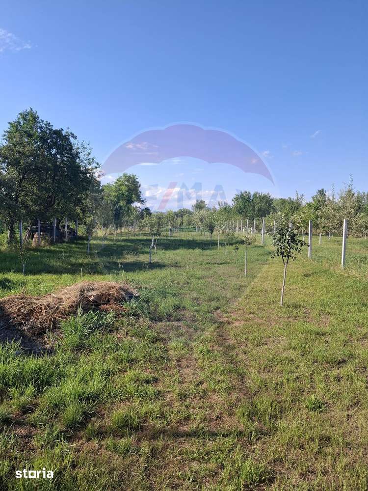 Casă / Vilă cu 4 camere de vânzare - Imagine principală: 5/20