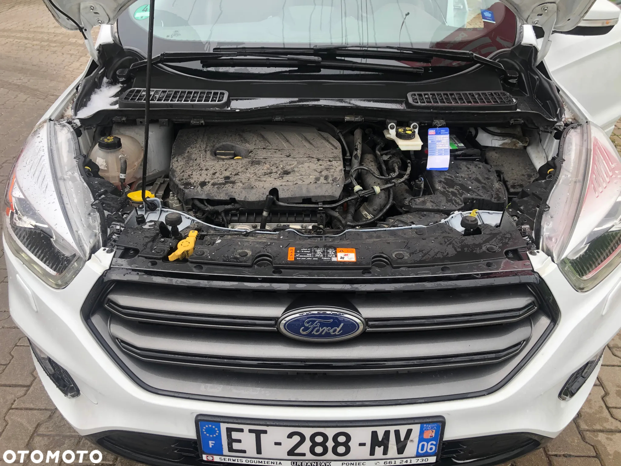Ford Kuga 1.5 EcoBoost 2x4 ST-Line - 13