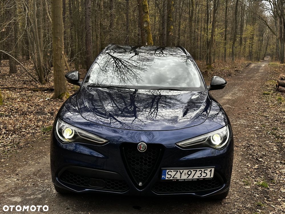 Alfa Romeo Stelvio 2.0 Turbo Super Q4 - 5