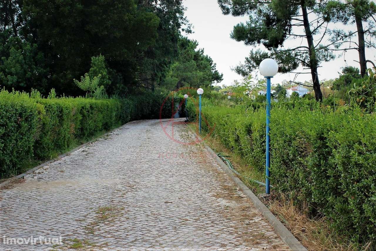 Quinta Moradia T6 inserida em lote com 13.630 m2 em Alhos Vedros – M - Grande imagem: 5/39