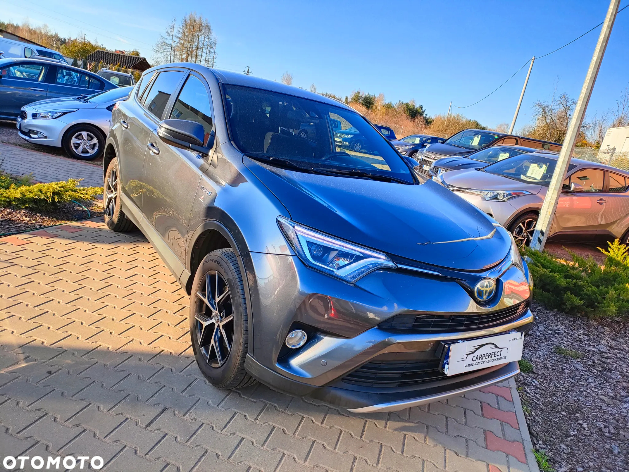 Toyota RAV4 Hybrid Premium 4x2 - 4
