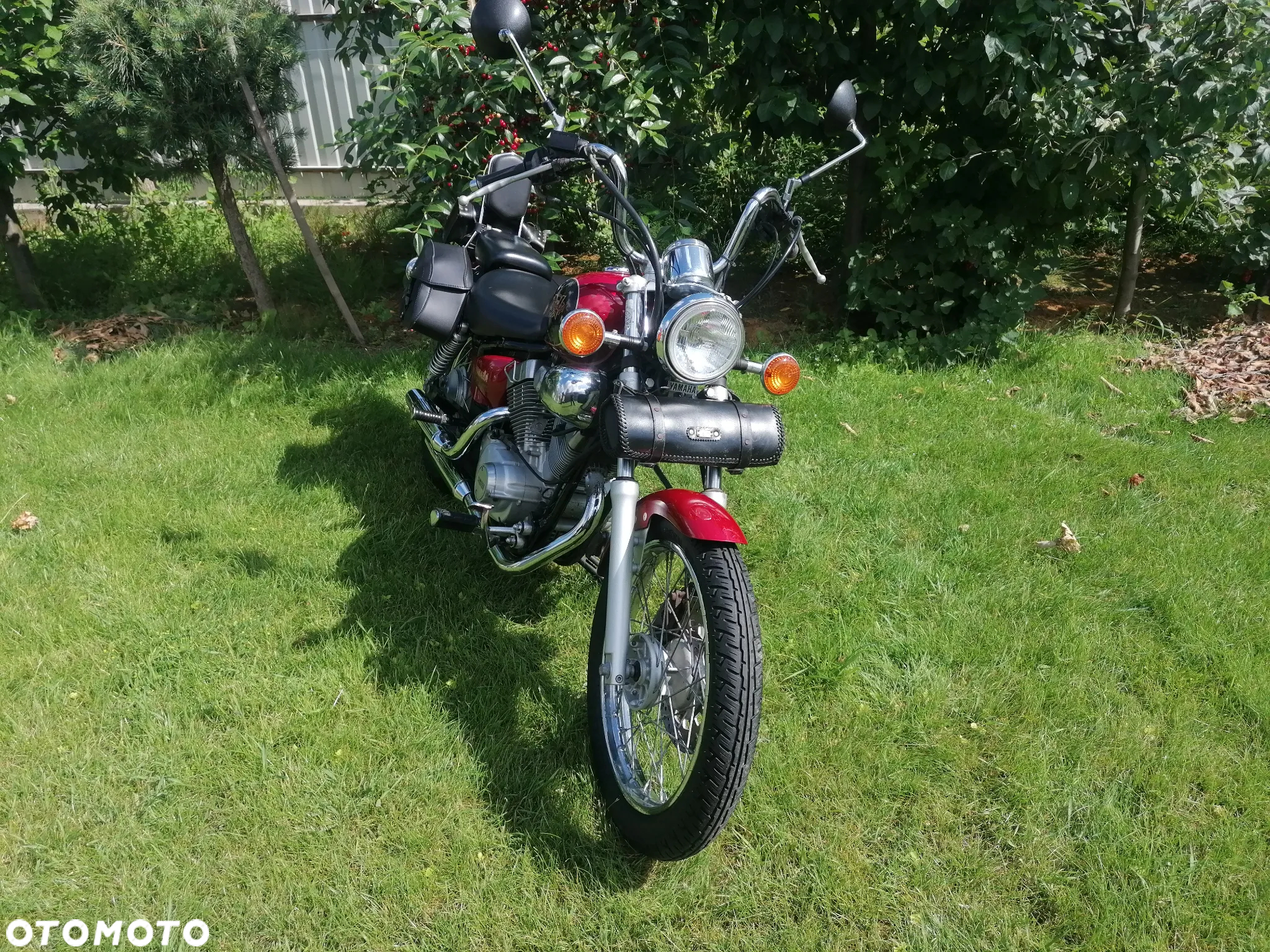 Yamaha Virago - 2