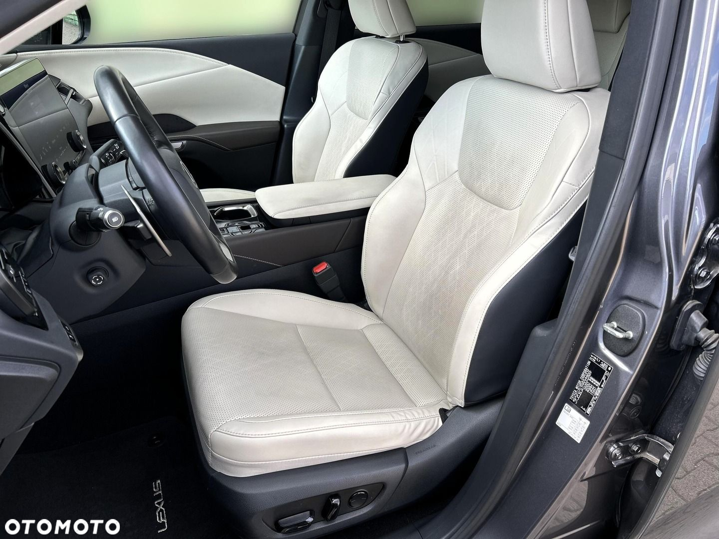 Lexus RX - 20
