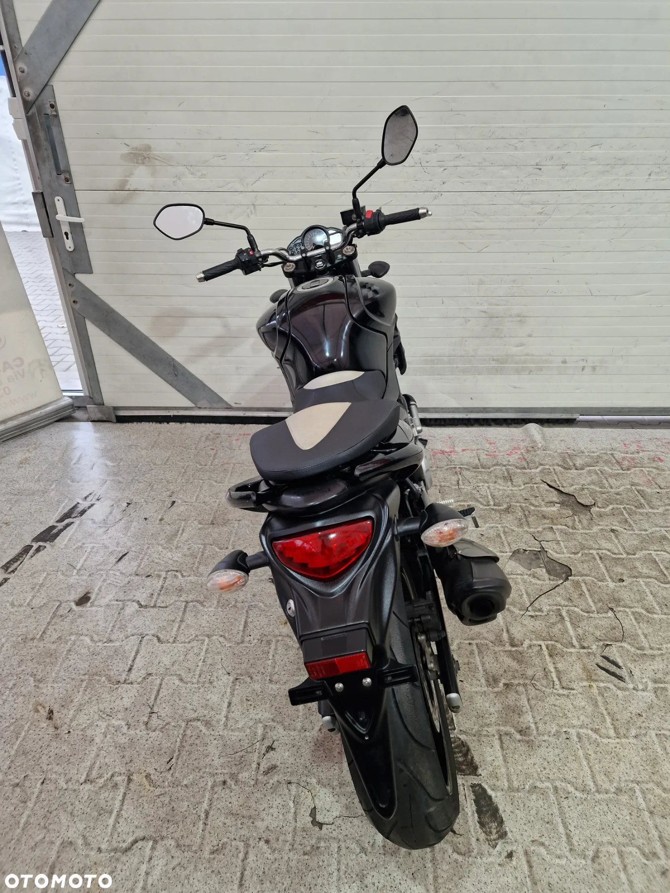 Suzuki Gladius - 22