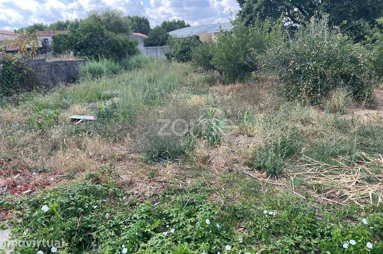 Terreno para construção na Mealhada. - Grande imagem: 5/15