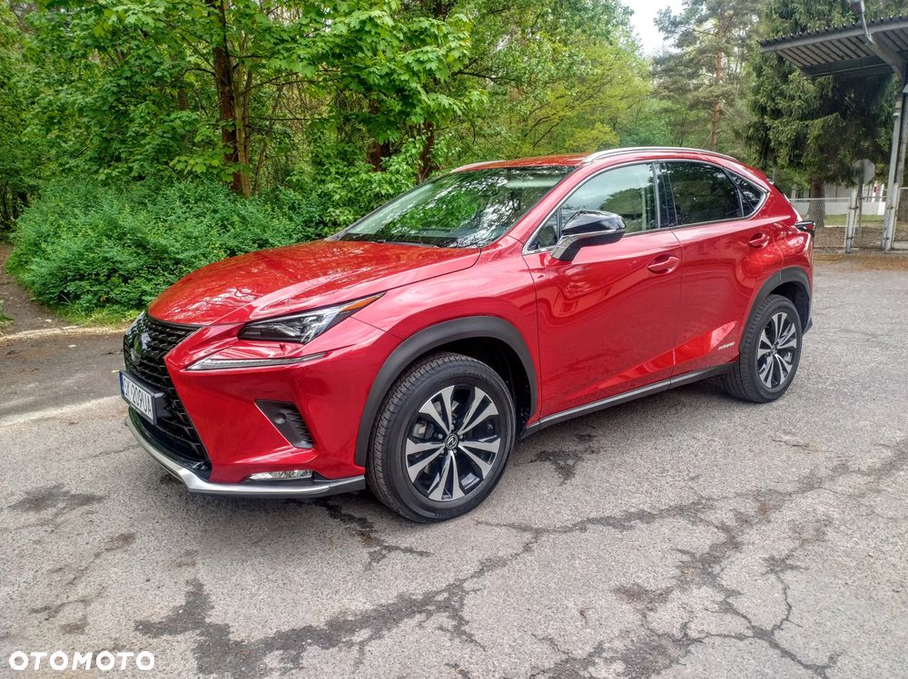 Lexus NX 300h F Impression AWD - 14